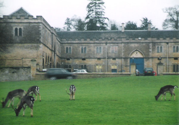 Burghley House