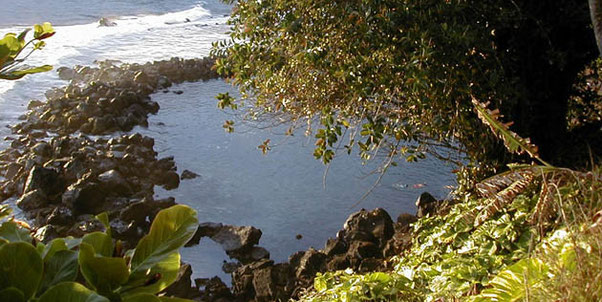 Bassin de Manapany, Meublé de tourisme L'eau-forte, Manapany-les-bains