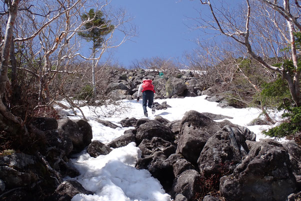 2025 八ヶ岳 残雪情報