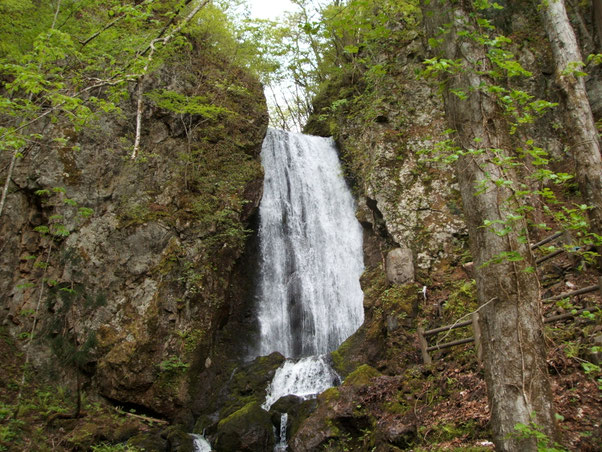 瀬織津姫の歌が山水治夫に降ろされ、丸十年が経ちました。