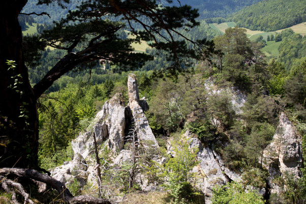 Schloss Jura Goumois Felsen