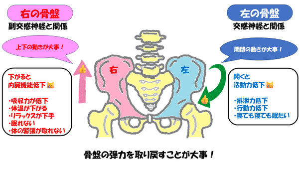 さきはま整体｜骨盤と背骨を調整して元気を取り戻す