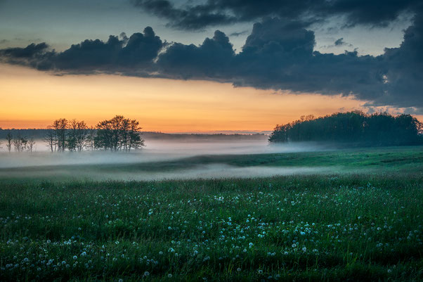 Morgennebel bei Wolgast