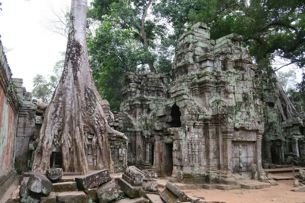 Le Ta Prohm et ses fromagers