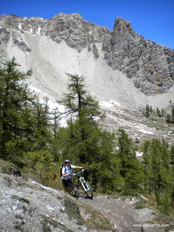 Un quarto d'ora di sano spintage