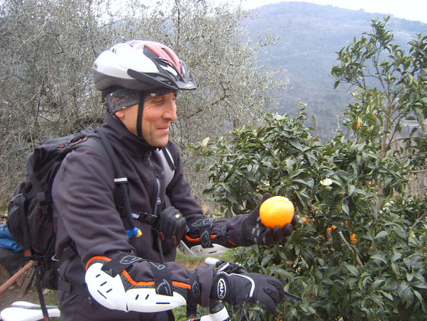 Rubare un'arancia in Riviera non ha prezzo...specialmente se  c'e' il proprietario "LIGURE" al balcone !!! 