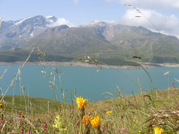 fra le nuvole si intravede il Forte Malamot....prima o poi ci andiamo!!