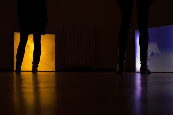 Neon Shelter (c) Teresa Fellinger & Evalie Wagner