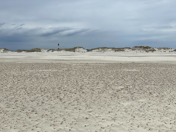 Roadtrip Nordfriesland 
