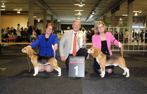 BOS & BOB IDS De Utrecht