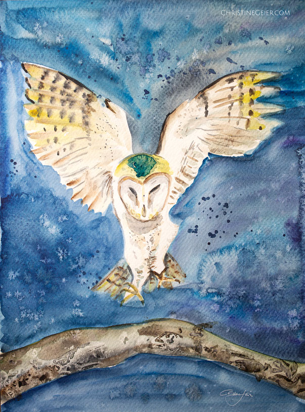 Schleiereule, Eule, Uhu, Vogel, Aquarell, Kunstwerk, Aquarell, watercolour, watercolor, bird art, bird illustration, Vogelaquarell