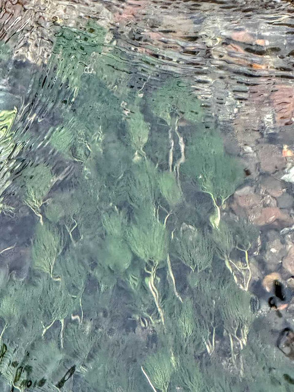 天栄村 湧井の清水