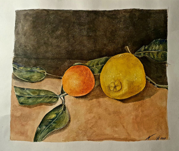 Zitrusfrüchte, Aquarell 2026