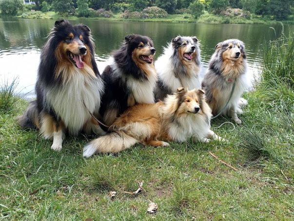 Elay, Bona Dea, Grace, Angie, Isari