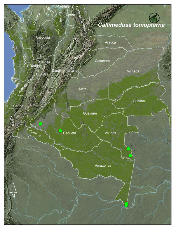 Mapa Callimedusa tompoterna-www.batrachia.com