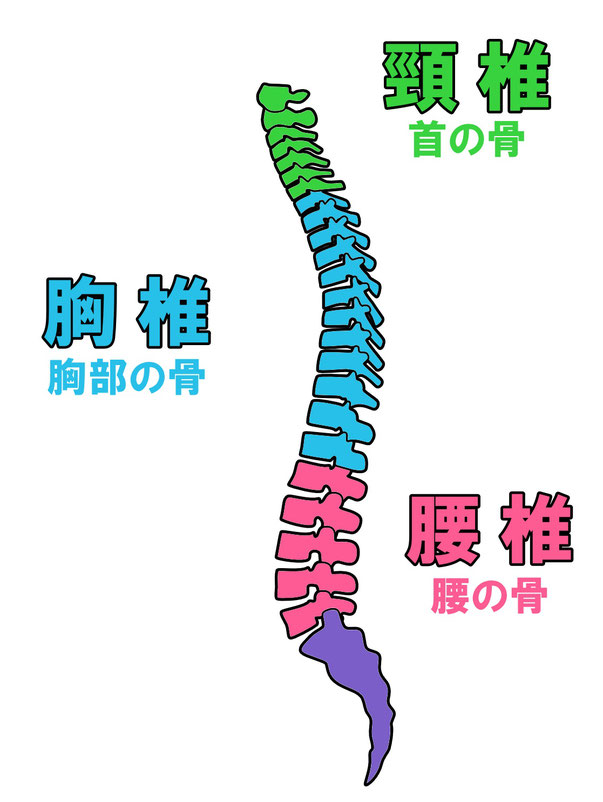 堺市パーソナルトレーニング　姿勢