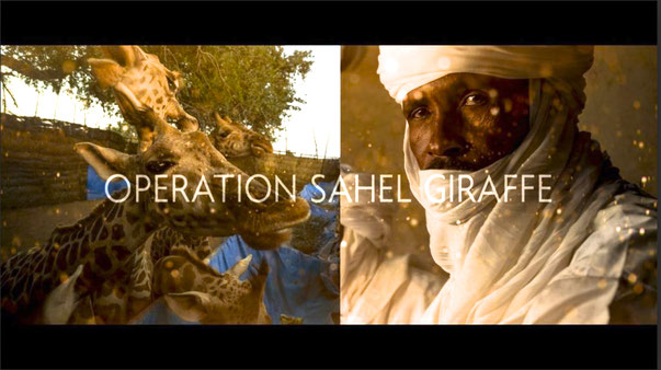 Opération Sahel Giraffe