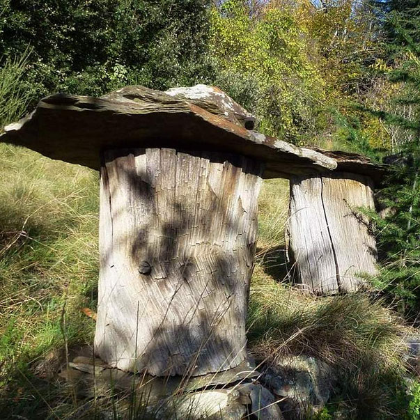 Ruche-tronc cévenoles