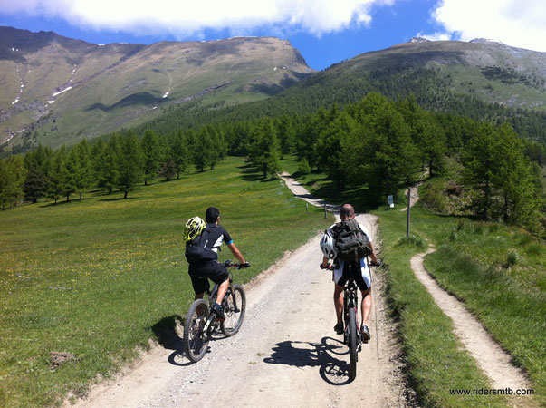 l'insegna  per il rifugio Selleries non passa inosservata....usciamo dal percorso programmato molto volentieri....