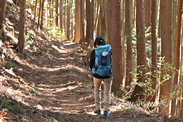 心も体もリラックス！軸作り体操、プリンプリン体操、登山・ウォーキング教室は、昭島市のオサモミ整体院