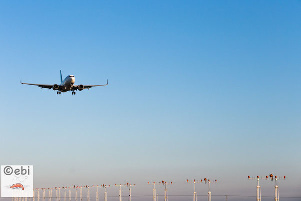 飛行機