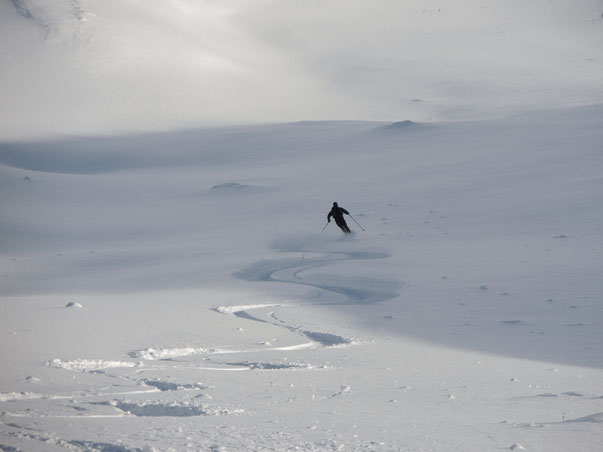 Skitouren Woche Nockberge mit Bergführer, geführte Skitour Nockberge, Nockberge Trail, guided Skitouring days week with mountainguide, Salzburg, Salzburger Land, Skitour Königstuhl mit Bergführer, Lungau, skiguide, Klaus Gruber