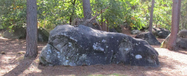 Ce rocher est étonnant, regardez le bien, voyez vous un chien pétrifié allongé ...!