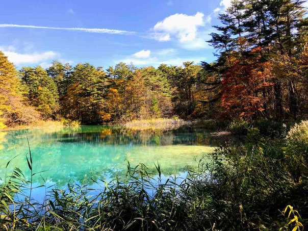 北塩原村 磐梯朝日国立公園 五色沼