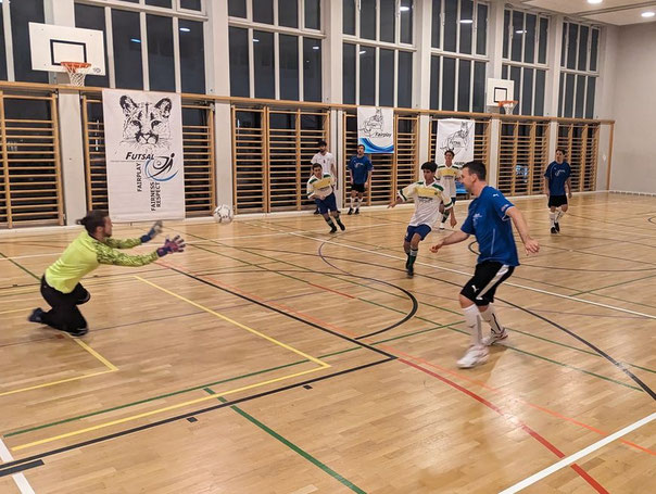 Amigos de Futsal - Bild dass die Hallenfussballer in vollem Einsatz zeigt