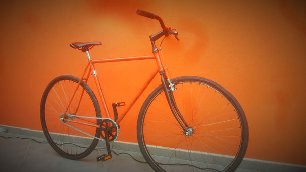 Bianchi Sebino