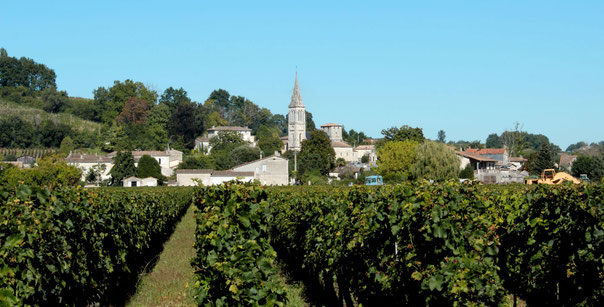 Le Fronsadais, territoire viticole près de Bordeaux