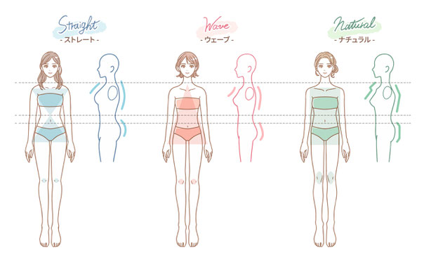 骨格診断の３タイプについて