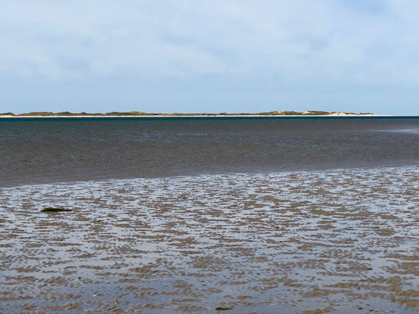 Inselauszeit auf Föhr 