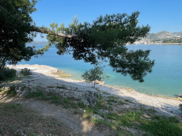 Spaziergang um den Campingplatz - immer am Wasser entlang 