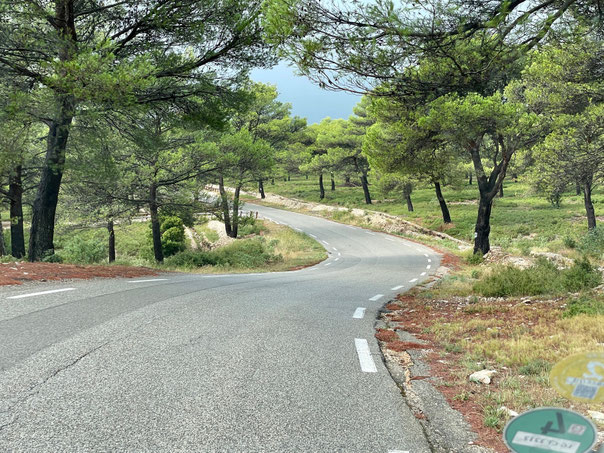 Regionaler Naturpark Sainte-Baume