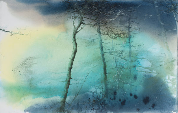 Pini Neri e e la trasparenza del mare cm 56 x 76