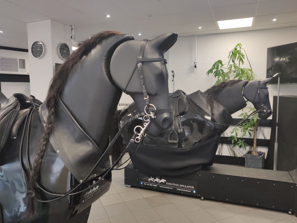 Reitsimulatoren Springen Dressur und Vielseitigkeit