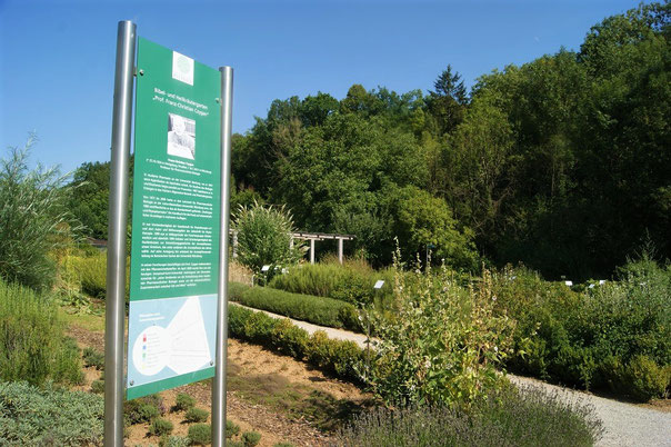 Der Bibelgarten im Gesundheitsgarten Retzbach