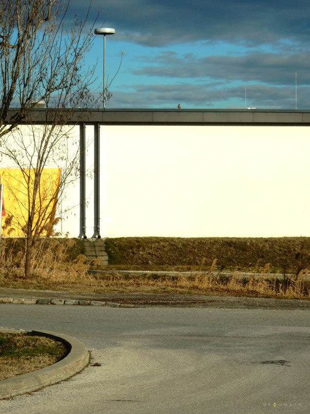 title : " Bild " ____________________________________________C-print on Dibond  45 / 60 cm 