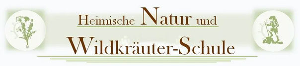 Faszinierende Bäume in Niederbayern
