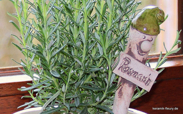Kräuter im Garten: Rosmarin