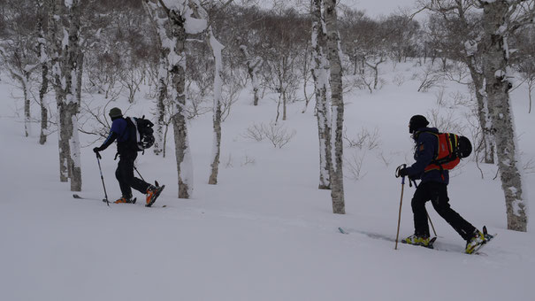 touring in Nito, Niseko Backcountry