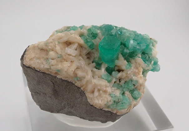 Muzo emerald