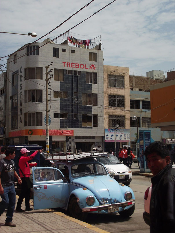 Chiclayo beetle