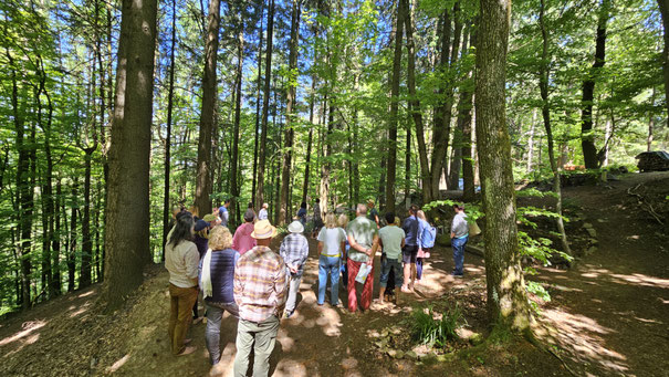 Pfälzerwald Auszeit, Retreats, Kurse, Fasten, Yoga, Kochkurs, Waldbaden, Digital Detox, Firmenretreat