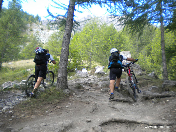 Dal Camping di Saretto, dove vi sono le sorgenti del Maira, ci arrampichiamo - imprecando!!- per circa 300 metri sino ad imboccare la strada militare che ci condurrà sino al Passo della Cavalla 