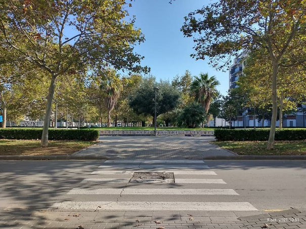 Vandalismo Arbitrario y antisocial en zonas verdes de la ciudad de Valencia contra la propiedad publica