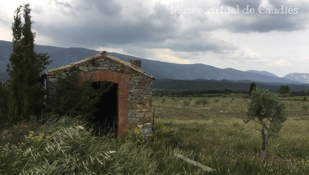 Photo Dominique Boyer