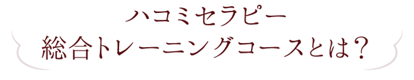 ハコミセラピー総合トレーニングコースとは？