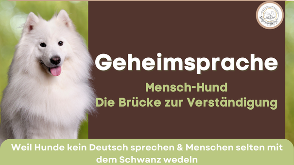 Körpersprache Mensch Hund, Hundetraining, Hundekurs, Hundeschule